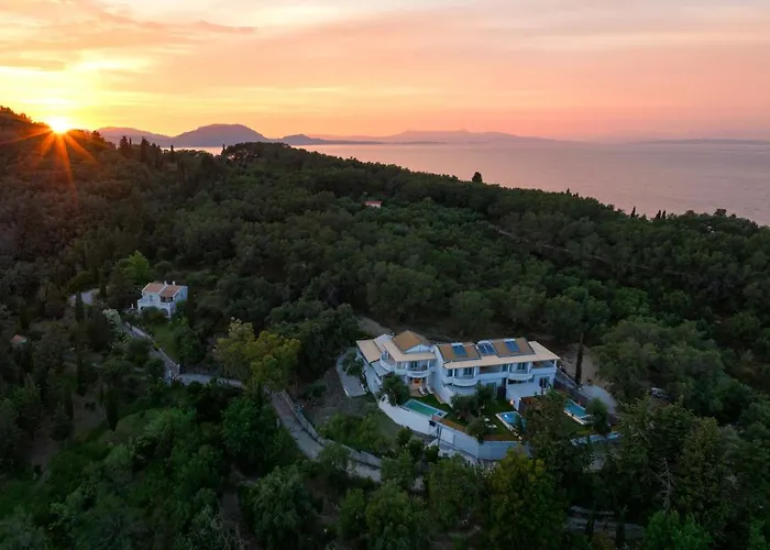 Playia * Petrití